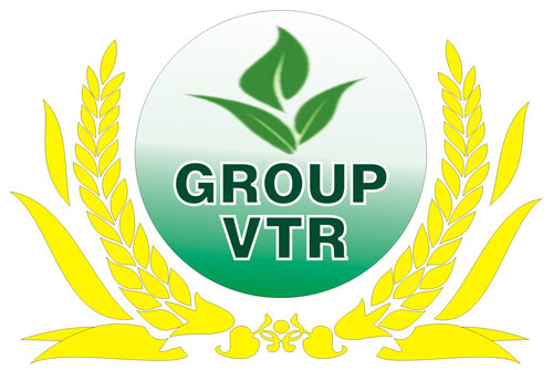 bvtvvictory.com